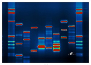 Getting Pregnant with Gene Mutation Testing